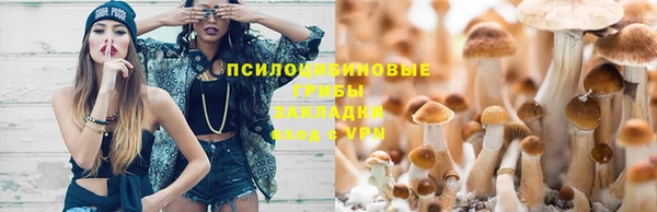 героин Ельня