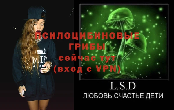 ГАЛЛЮЦИНОГЕННЫЕ ГРИБЫ Елизово