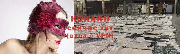 ГАЛЛЮЦИНОГЕННЫЕ ГРИБЫ Елизово