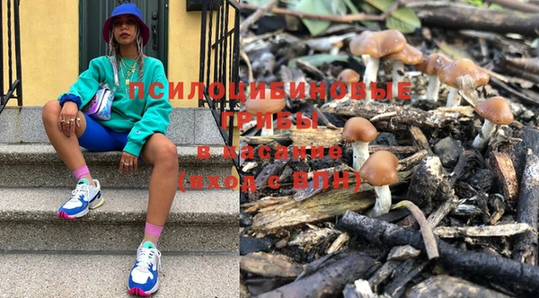 мдпв Калининец