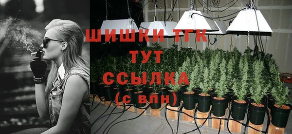 ГАЛЛЮЦИНОГЕННЫЕ ГРИБЫ Елизово
